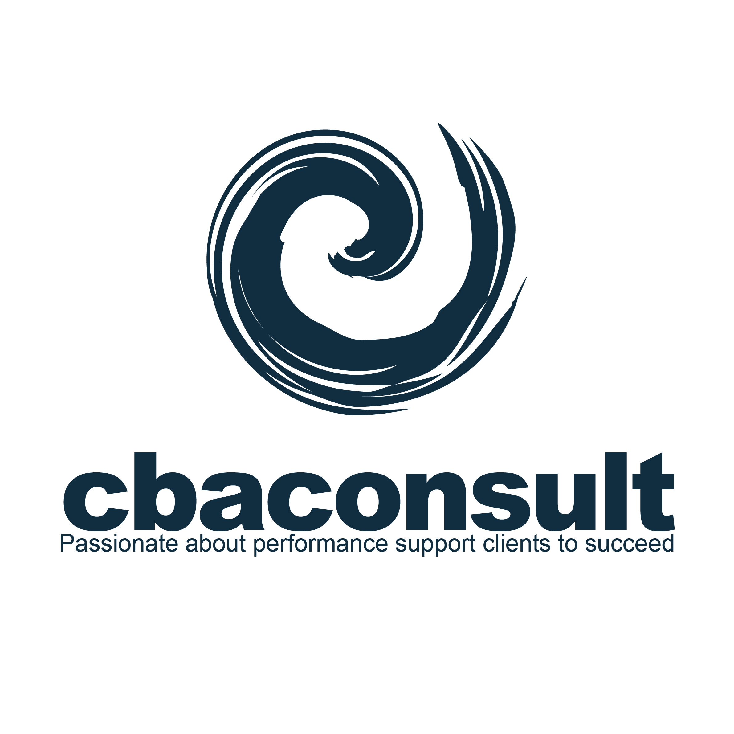 CBA Consult Components